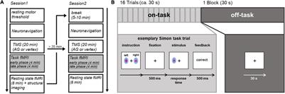 Low-Frequency TMS Results in Condition-Related Dynamic Activation Changes of Stimulated and Contralateral Inferior Parietal Lobule